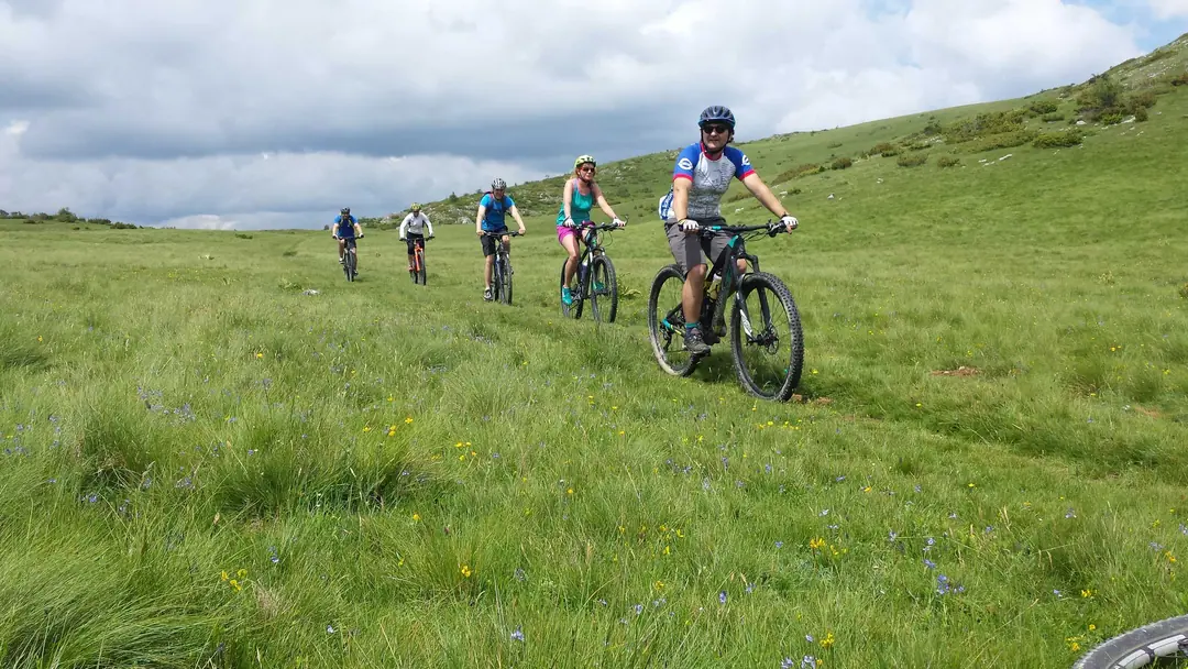 Group of riders on a singletrack through a green meadow