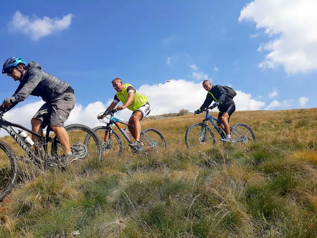 Three mountain bikers riding across a high pasture