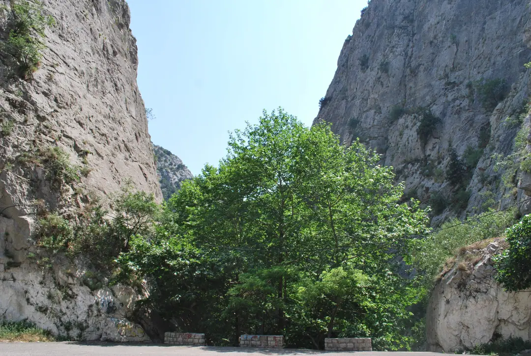 Cliffs rising over the trees in the Demir Kapija gorge